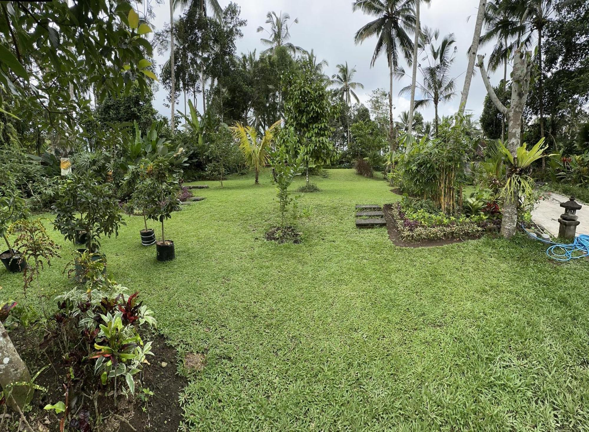 Kaja Villa Ubud Eksteriør billede