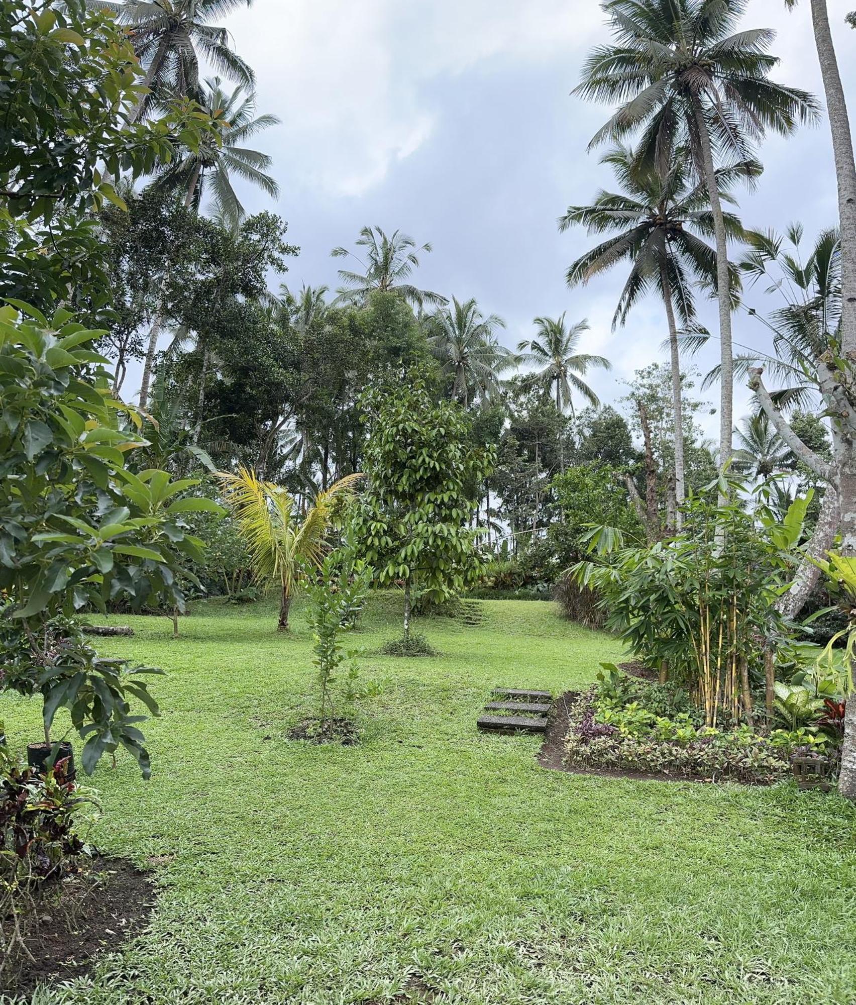 Kaja Villa Ubud Eksteriør billede