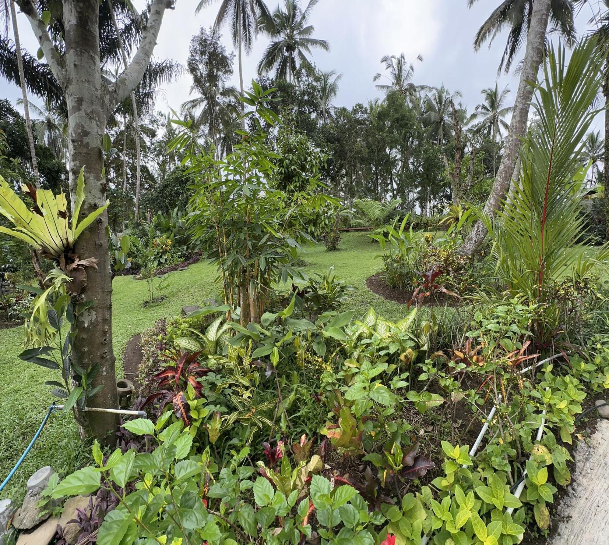 Kaja Villa Ubud Eksteriør billede